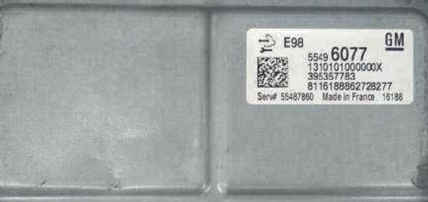 Plug & Play Delco Engine ECU, Vauxhall, Opel, 55496077, 1310101000000X, 395357783, E98