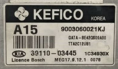 Kia - Hyundai, 9003060021KJ, 3911003445, 39110-03445, MEG 17.9.12.1