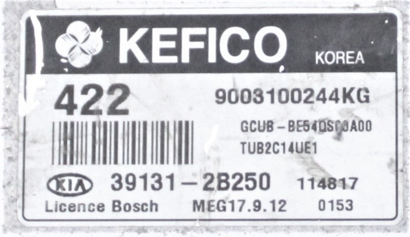 422, 9003100244KG, GCUBBE54QS00A00, GCUB-BE54QS00A00, TUB2C14UE1, 391312B250, 39131-2B250, MEG17.9.12