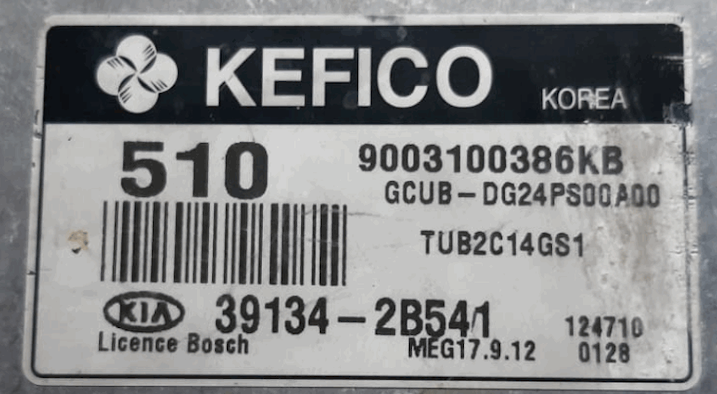 9003100386KB, GCUB-DG24PS00A00, 39134-2B541, 510, MEG 17.9.12