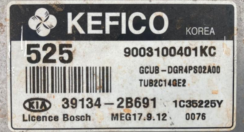 Kefico Engine ECU, Kia Rio 1.4, MEG 17.9.12, 9003100401KC, 39134-2B691, 525