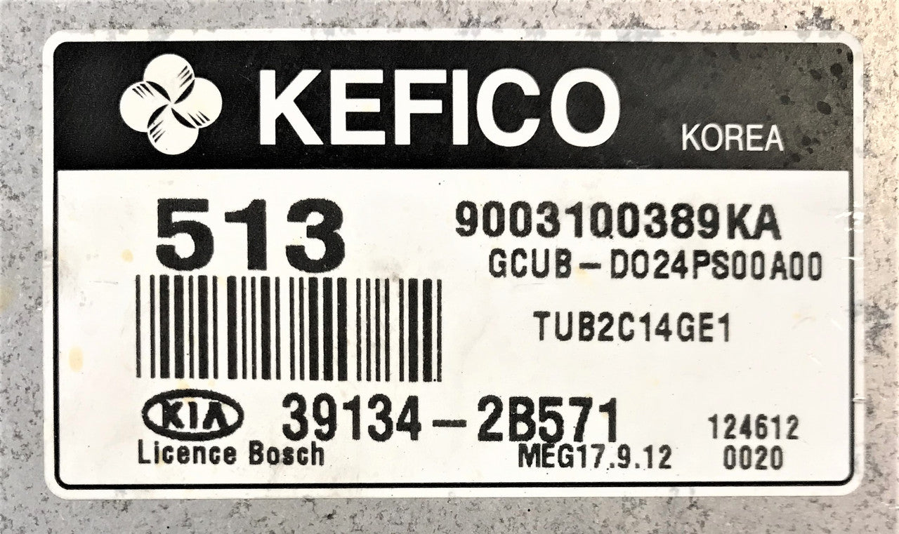 Plug & Play Kefico Engine ECU, Kia/Hyundai, 9003100389KA, 391342B571, 39134-2B571, MEG 17.9.12