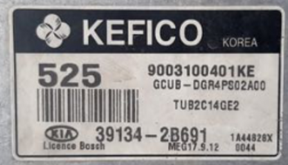 MEG 17.9.12, 9003100401KE, 39134-2B691, 525