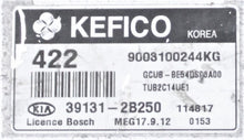 422, 9003100244KG, GCUBBE54QS00A00, GCUB-BE54QS00A00, TUB2C14UE1, 391312B250, 39131-2B250, MEG17.9.12