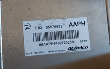 55576682, AAPH, E83, 12636386