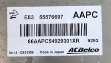 55576697, AAPC, E83, 12636386