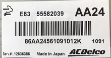 55582039, AA24, E83, 12636386