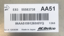 55583738, AA51, E83, 12636386