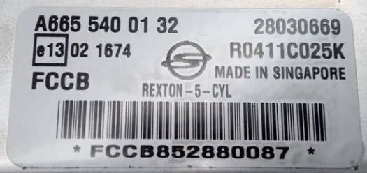 Delphi Engine ECU, Ssangyong, A6655400132, A665 540 01 32, 28030669, R0411C025K, FCCB