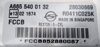 Delphi Engine ECU, Ssangyong, A6655400132, A665 540 01 32, 28030669, R0411C025K, FCCB