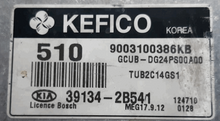 9003100386KB, GCUB-DG24PS00A00, 39134-2B541, 510, MEG 17.9.12