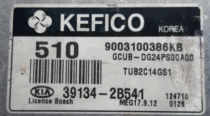 9003100386KB, GCUB-DG24PS00A00, 39134-2B541, 510, MEG 17.9.12