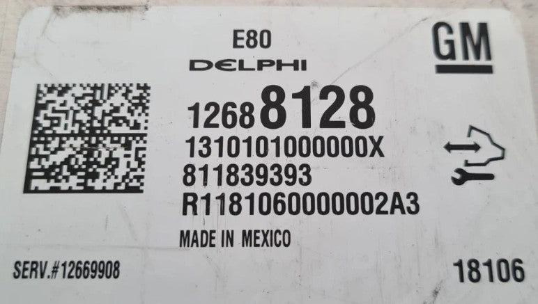 Plug & Play Delphi Engine ECU, Vauxhall, Opel, 12688128, 1310101000000X, 811839393, E80, 12669908