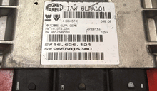 IAW 6LPA.01, HW 16.575.084, HW 9657649580, SW 16.626.124, SW 9656815380