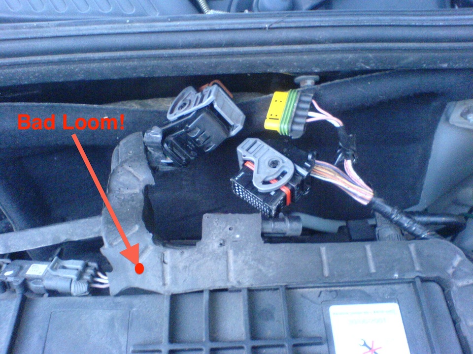Renault Clio Wiring Loom Problems